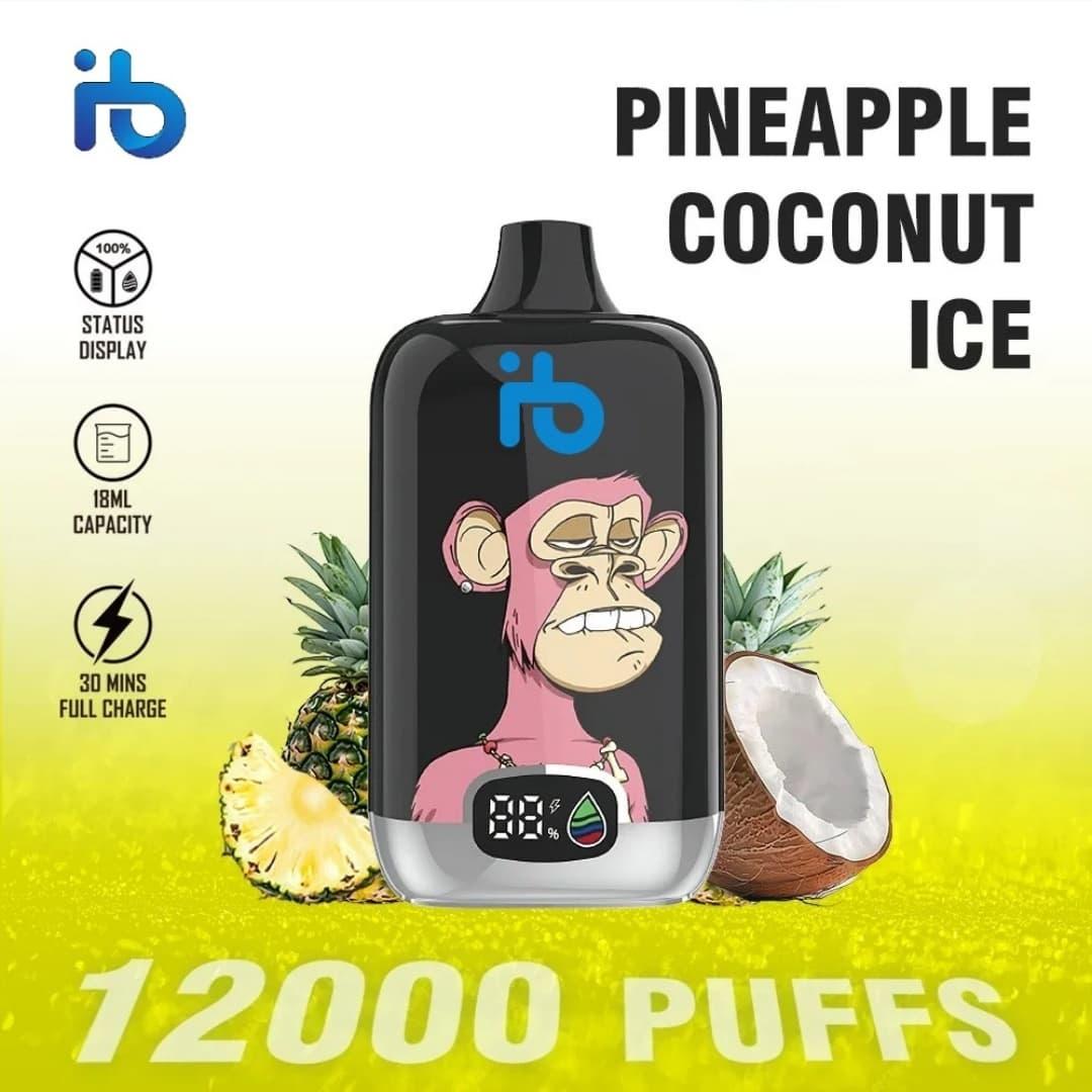 IBVape e-cigarette Buying Guide and Best cigarette electronic filter Options for Cleaner Safer Vaping